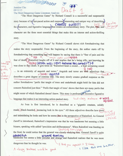 What is a literary critique essay